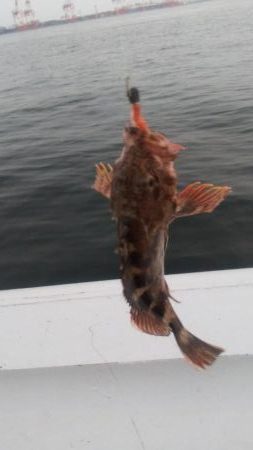 ガッシー&ツバス