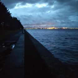 朝夕のマズメにタチウオジギング