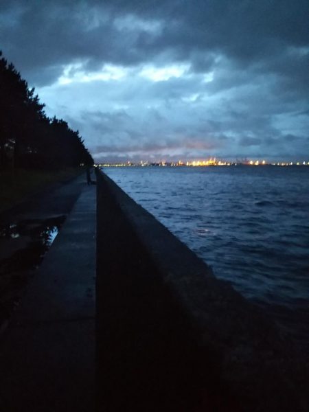 朝夕のマズメにタチウオジギング