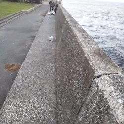 大潮最終日-夕マズメのタチウオジギング