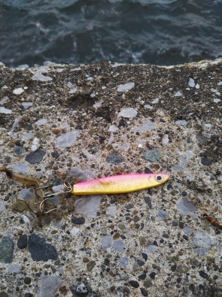 渋いのは自分だけ……夕マズメ