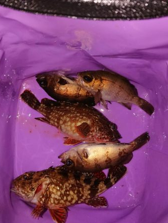 今期の記録更新