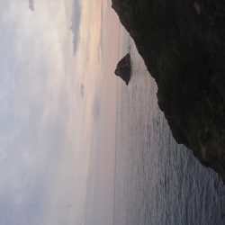 初ロックフィッシュ