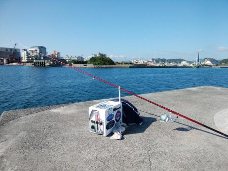 志筑周辺でキス狙い