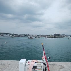 白灯台波止のキス情報