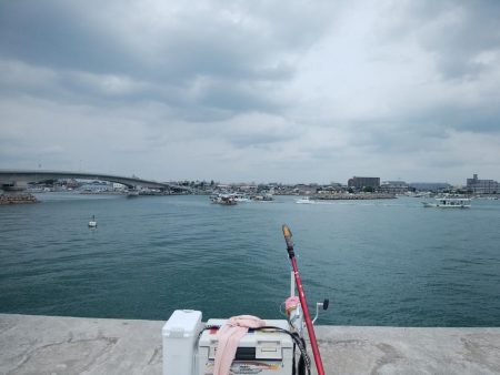 白灯台波止のキス情報