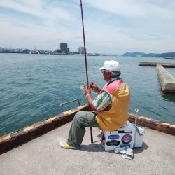 境水道でキス爆釣