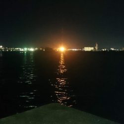 好調！！アジング短時間