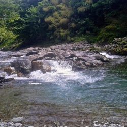 厳しい釣りの中やっと出た今季最大アマゴ