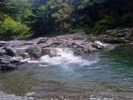 厳しい釣りの中やっと出た今季最大アマゴ