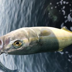 ベイトのサイズに合わせて