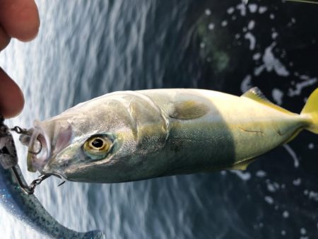 ベイトのサイズに合わせて