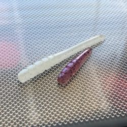 湾内の豆と沖向き良型!