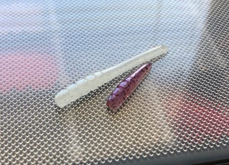 湾内の豆と沖向き良型!