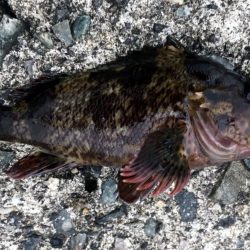 ４目達成～～♪