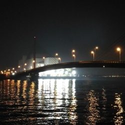 南港カモメ大橋 釣行 （6月スタートからの シーバスの41ｃｍとキビレチヌ 釣果有り）