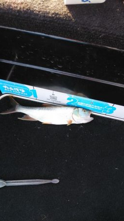 アフタースポーン