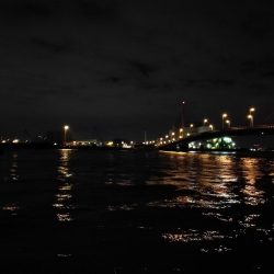 南港カモメ大橋 釣行 (ヘチ短時間で好調果キビレチヌ39cm 他釣果有り)