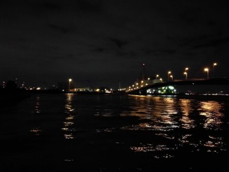 南港カモメ大橋 釣行 (ヘチ短時間で好調果キビレチヌ39cm 他釣果有り)