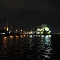 南港カモメ大橋 釣行 (超小雨ヘチ釣り、キビレチヌ45cm 他釣果有り)