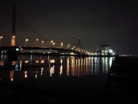 南港カモメ大橋 釣行 （雨降り前にヘチ釣りでキビレチヌ43cm 他釣果有り）