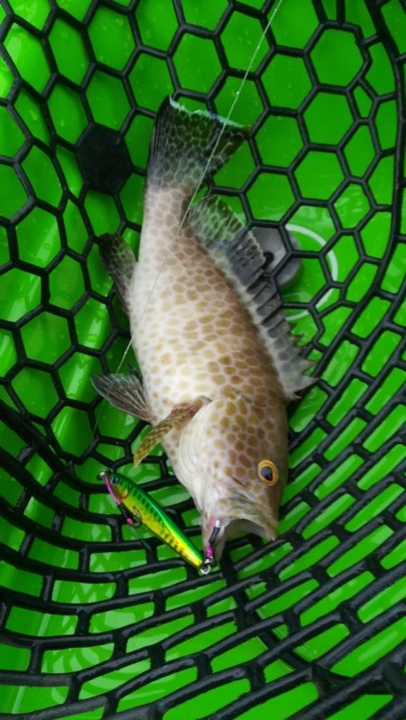 カヤックフィッシングで爆釣!