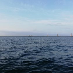 サイズダウンしてる！