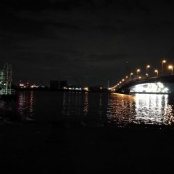 南港カモメ大橋 釣行 (短時間ヘチ釣りでキビレチヌ、シーバス、ガシラ釣果有り)