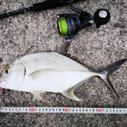 3度目の正直もあり