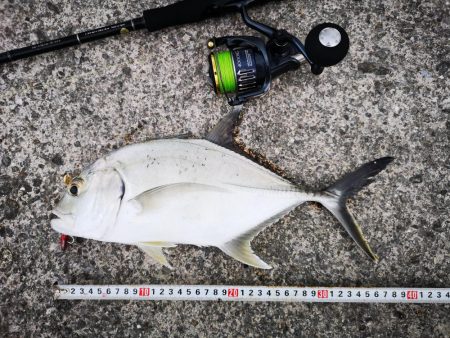 3度目の正直もあり