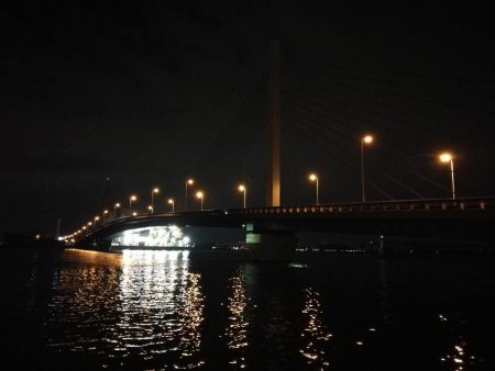 南港カモメ大橋 釣行 (雨天後のヘチ釣行~ キビレチヌ、シーバス、ガシラ釣果有り)