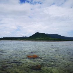 1日頑張りました。