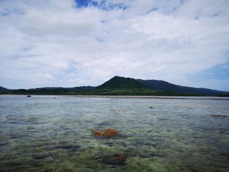 1日頑張りました。