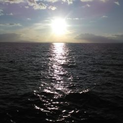 ジグサビキin 貝塚人工島