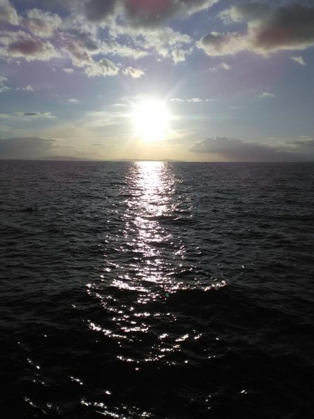 ジグサビキin 貝塚人工島