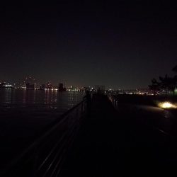 コスモ公園釣行 （コスモ周辺は厳重警戒体制だったが、真チヌとガシラ釣果！）