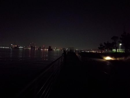 コスモ公園釣行 （コスモ周辺は厳重警戒体制だったが、真チヌとガシラ釣果！）