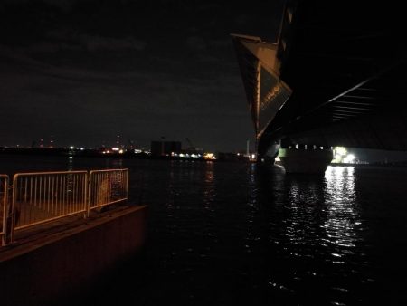 南港カモメ大橋 釣行 （夏至前の夜釣行 キビレチヌ、ガシラ釣果有り）