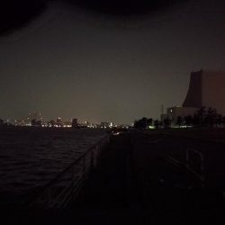 コスモ公園釣行 （続、厳重警戒体制なコスモでヘチ釣り、キビレチヌとガシラとナマコ？！釣果（笑））