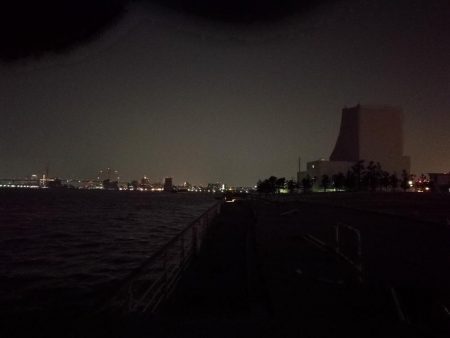 コスモ公園釣行 （続、厳重警戒体制なコスモでヘチ釣り、キビレチヌとガシラとナマコ？！釣果（笑））