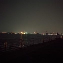 コスモ公園釣行 （続々、厳重警戒体制なコスモでヘチ釣り、黒メバル21cmとガシラ釣果有り）