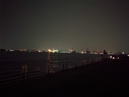 コスモ公園釣行 （続々、厳重警戒体制なコスモでヘチ釣り、黒メバル21cmとガシラ釣果有り）