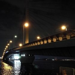 【祝】初真チヌ！しかもデッカイ！！