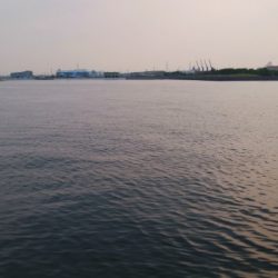 今日も泉大津で釣行