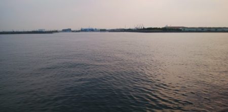 今日も泉大津で釣行