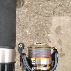 久しぶりに夕方釣行