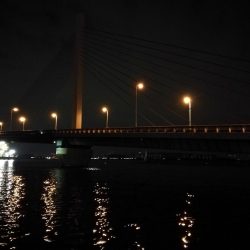 南港カモメ大橋ヘチ釣行 (26日南港ヘチ~ キビレチヌ34cm、ハゼ 釣果有り)