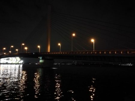 南港カモメ大橋ヘチ釣行 (26日南港ヘチ~ キビレチヌ34cm、ハゼ 釣果有り)