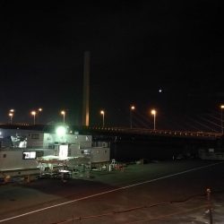 南港カモメ大橋ヘチ釣行 (27日台風前にヘチ釣り~ 真チヌ44.5cm、キビレ、ガシラ 釣果有り)