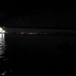 ヘチ釣行 南港カモメ大橋 (30日 雨の南港ヘチ釣り~ 真チヌ41.5cm、キビレチヌ43cm 釣果有り)